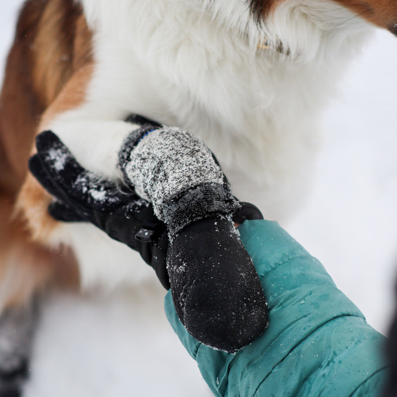 Le chien blanc botte longue Grip