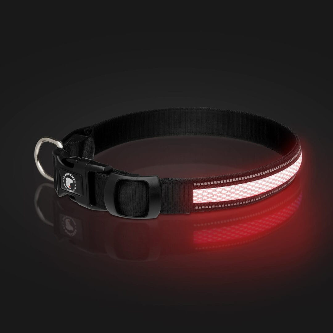Le Bon Chien collier lumineux rechargeable