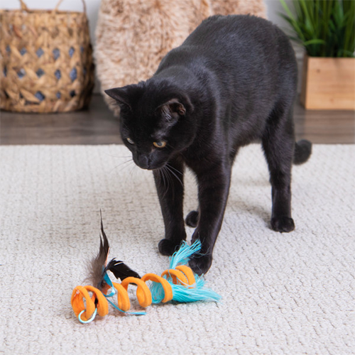 SmartyKat Instincts jouet pour chats Crazy Coil