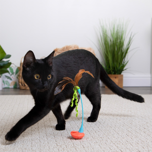 SmartyKat Instincts jouet pour chats Rowdy Rocker