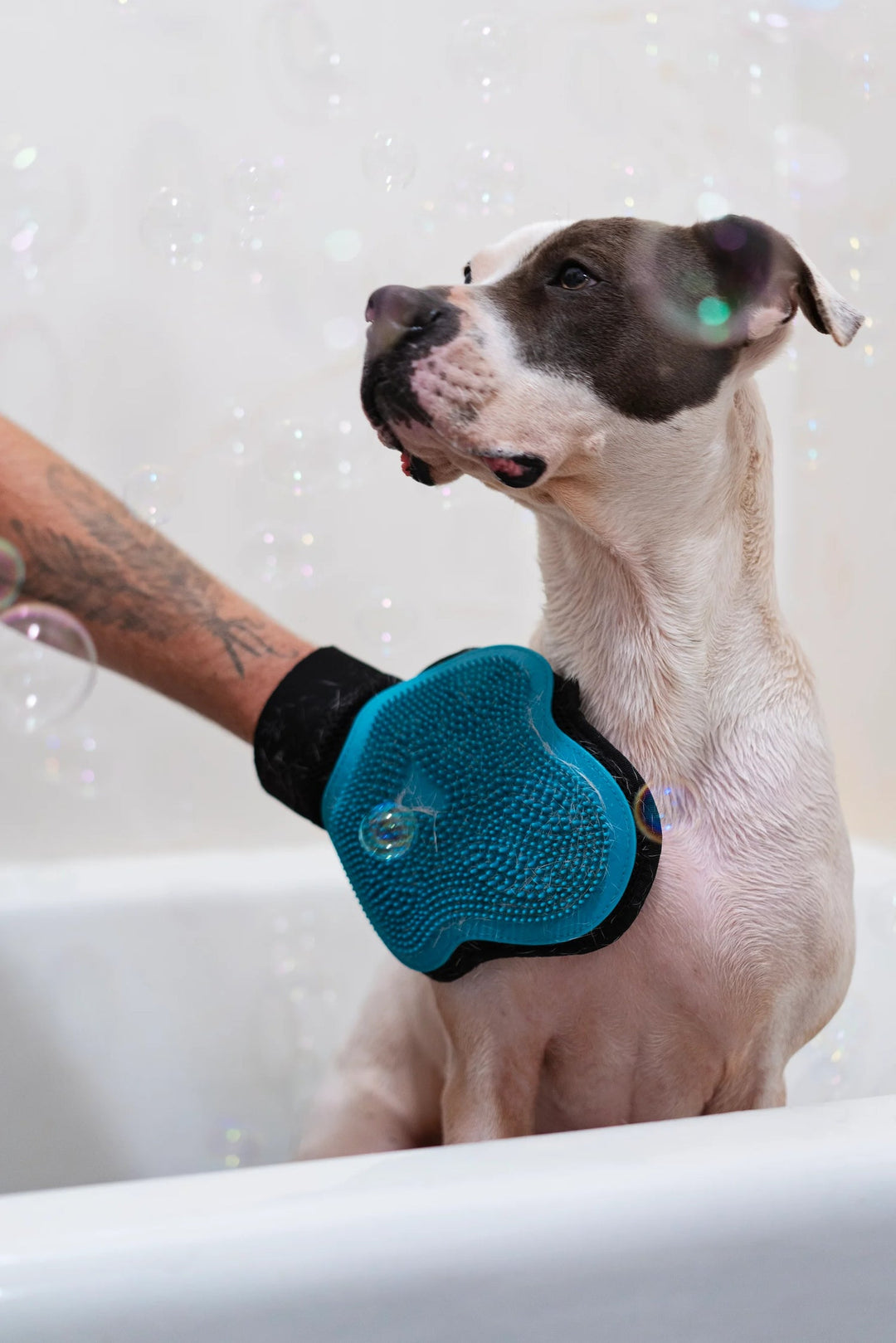 Messy Mutts gant de toilettage en silicone