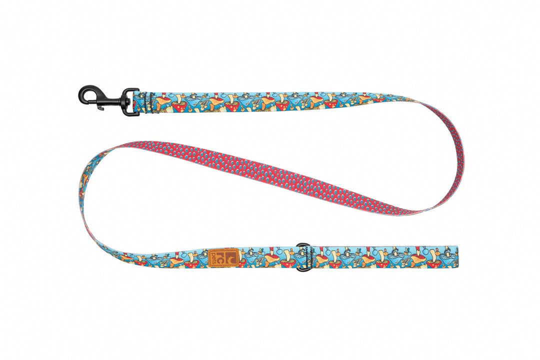 RC Pets laisse ECO