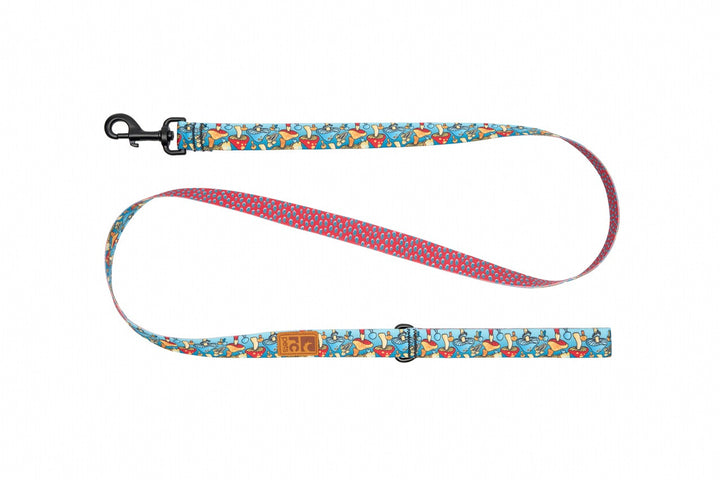 RC Pets laisse ECO