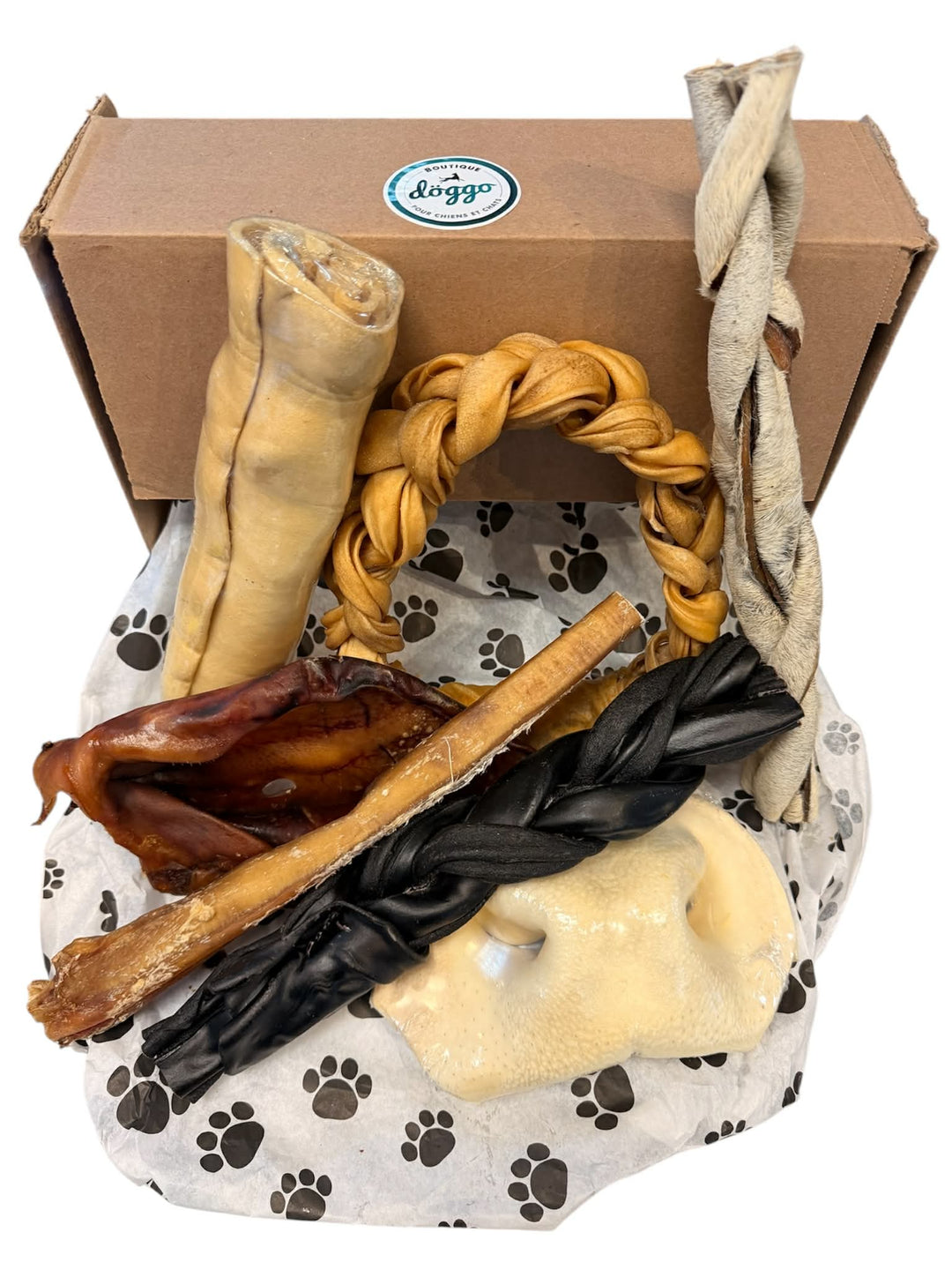 Boutique Döggo boîte de mastication - Gros grugeur
