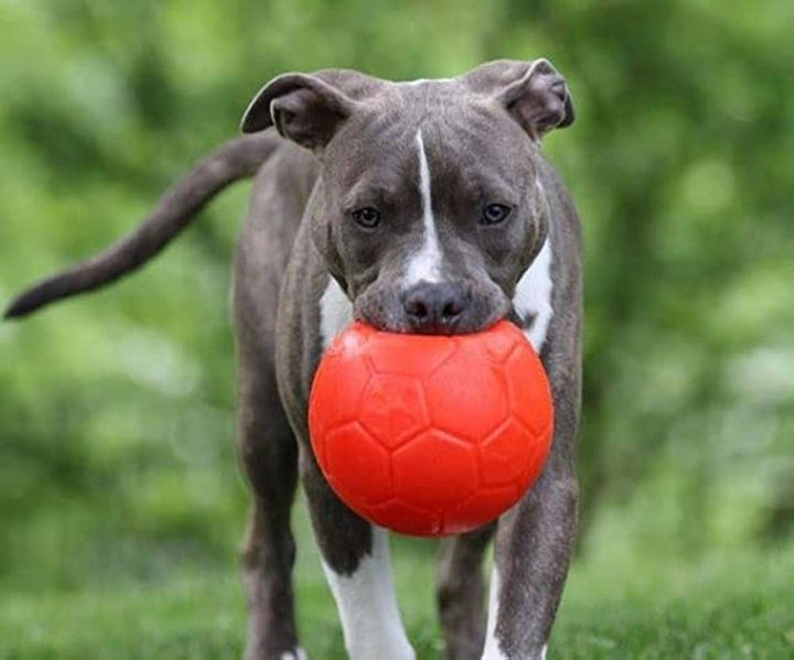 Jolly Pets ballon de soccer