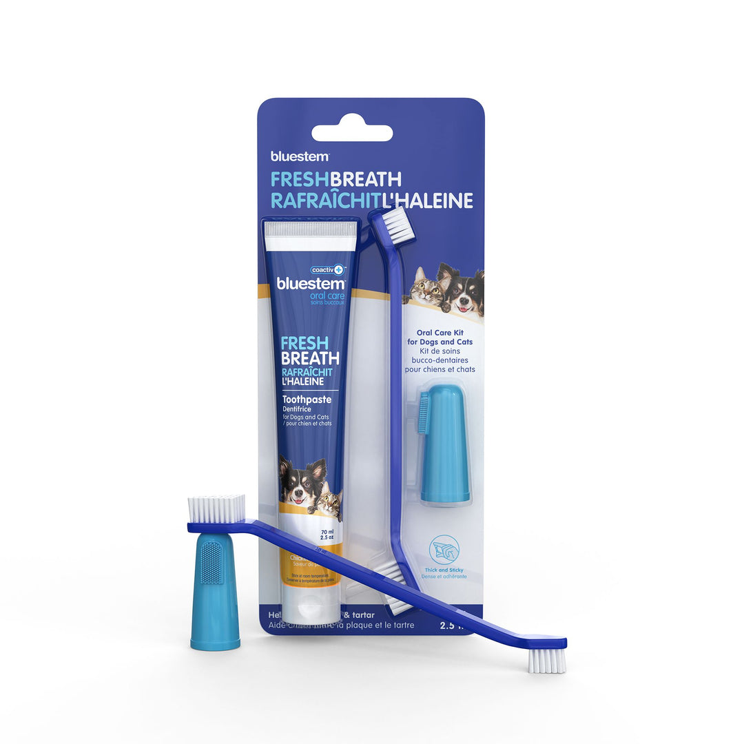 Bluestem ensemble brosse à dents et dentifrice Poulet 70 ml