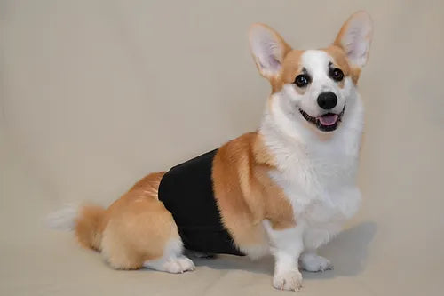 Yamacouche bandeau pour mâles