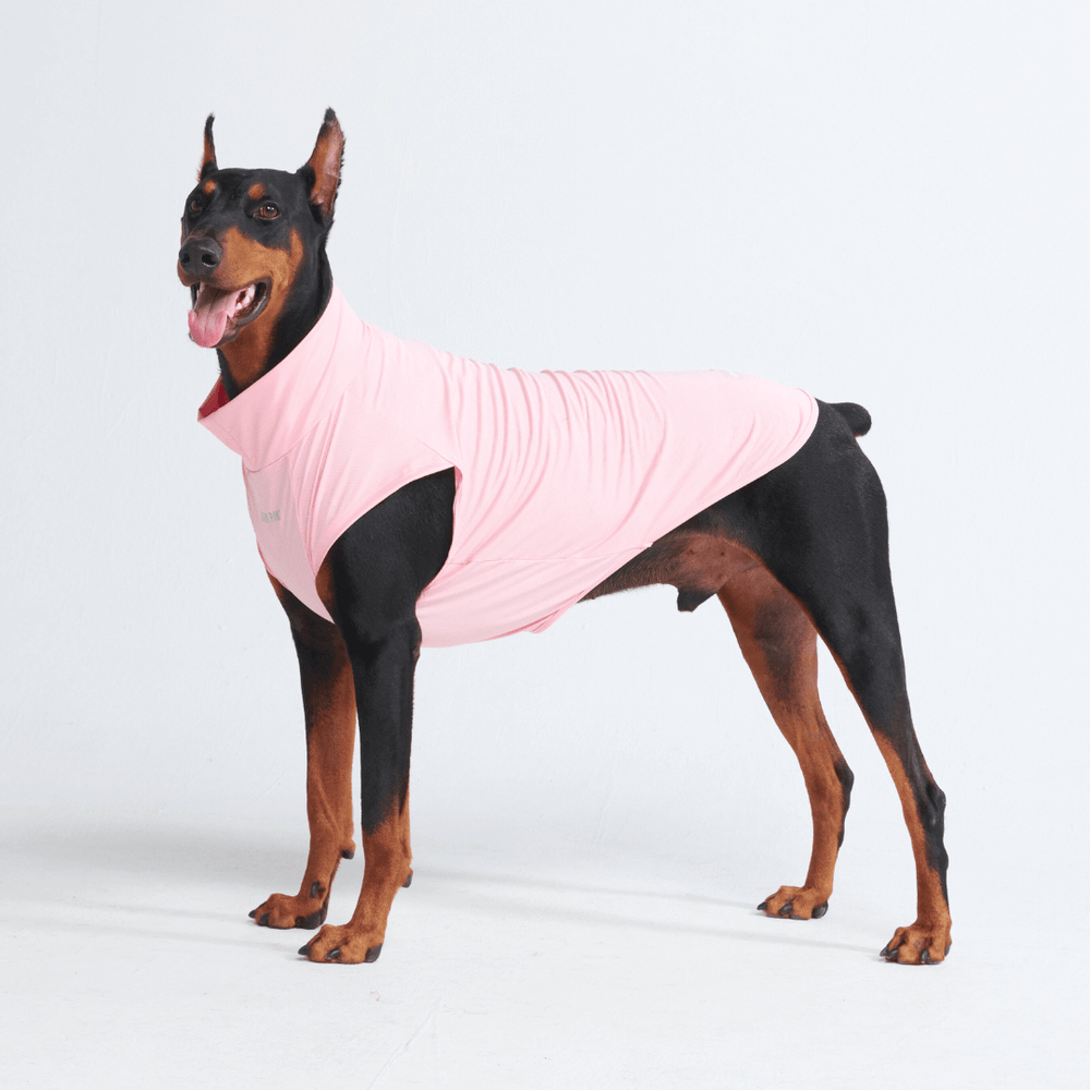 Spark Paws chandail pour chiens avec protection FPS 30