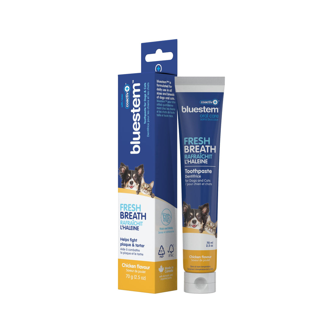 Bluestem dentifrice pour chiens avec Coactiv+ saveur de poulet 70 g