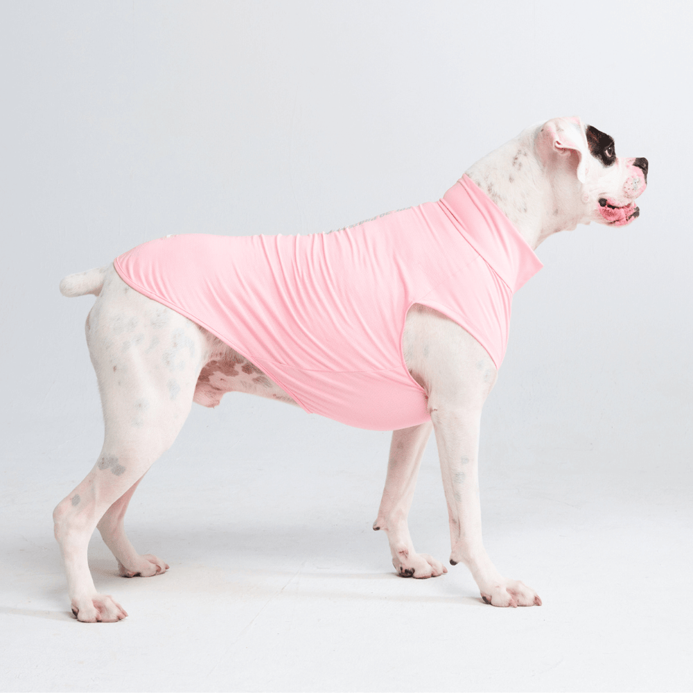 Spark Paws chandail pour chiens avec protection FPS 30