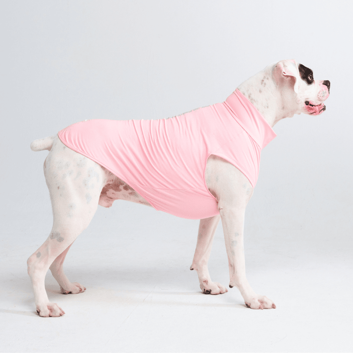Spark Paws chandail pour chiens avec protection FPS 30