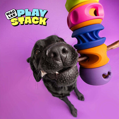 Wag Lab PlayStack jouet interactif The Bully