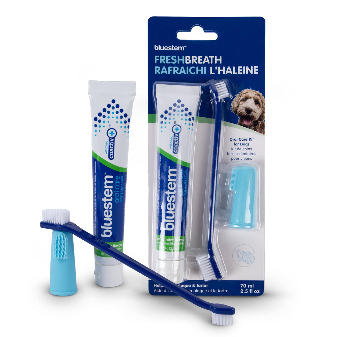 Bluestem ensemble brosse à dents et dentifrice pour chiens Vanille et Menthe 70 ml