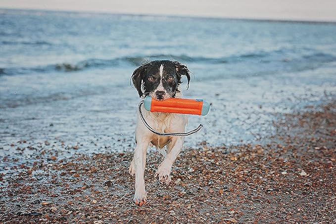 Chuckit! jouet flottant pour chiens Amphibious Bumper