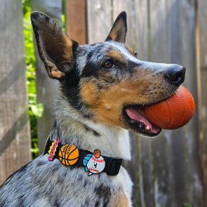 Jiby Dog Crew écussons décoratifs pour accessoires