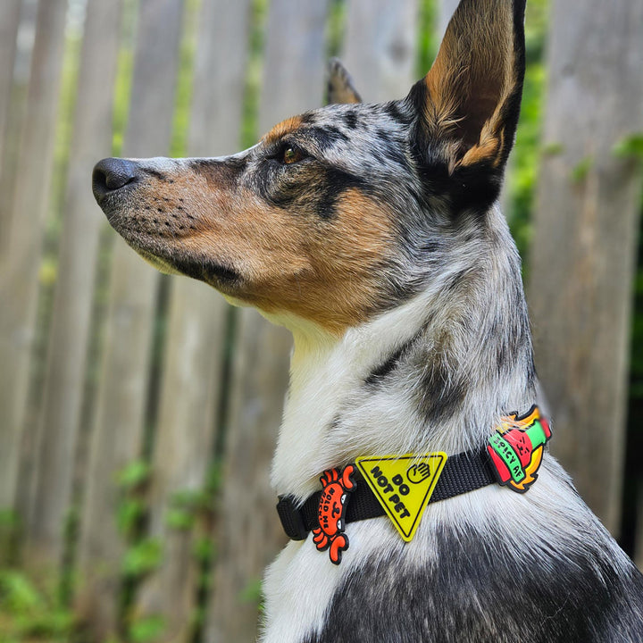 Jiby Dog Crew écussons décoratifs pour accessoires