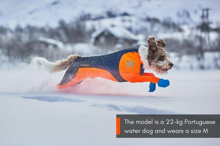 Non-Stop Dogwear combinaison Snow Protector
