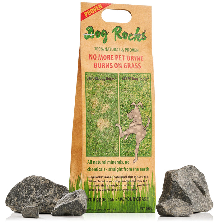 Dog Rocks roches naturelles contre les tâches jaunes