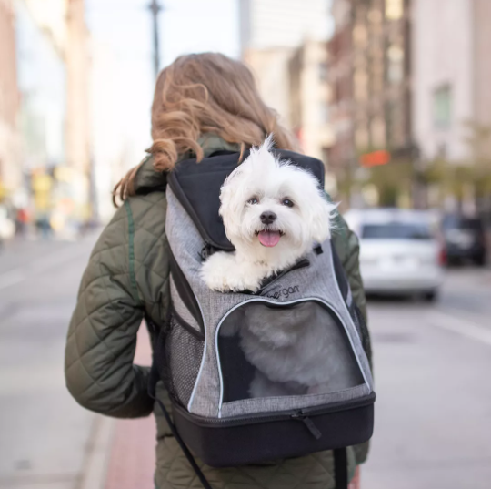 Bergan sac à dos de transport pour petits chiens 15 lb