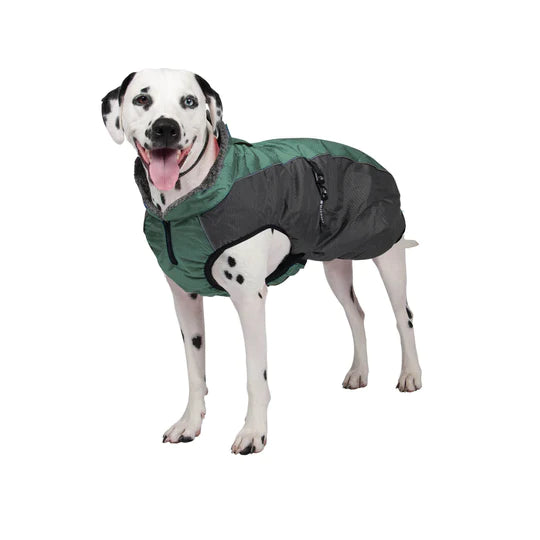 Shedrow manteaux pour chiens Chinook