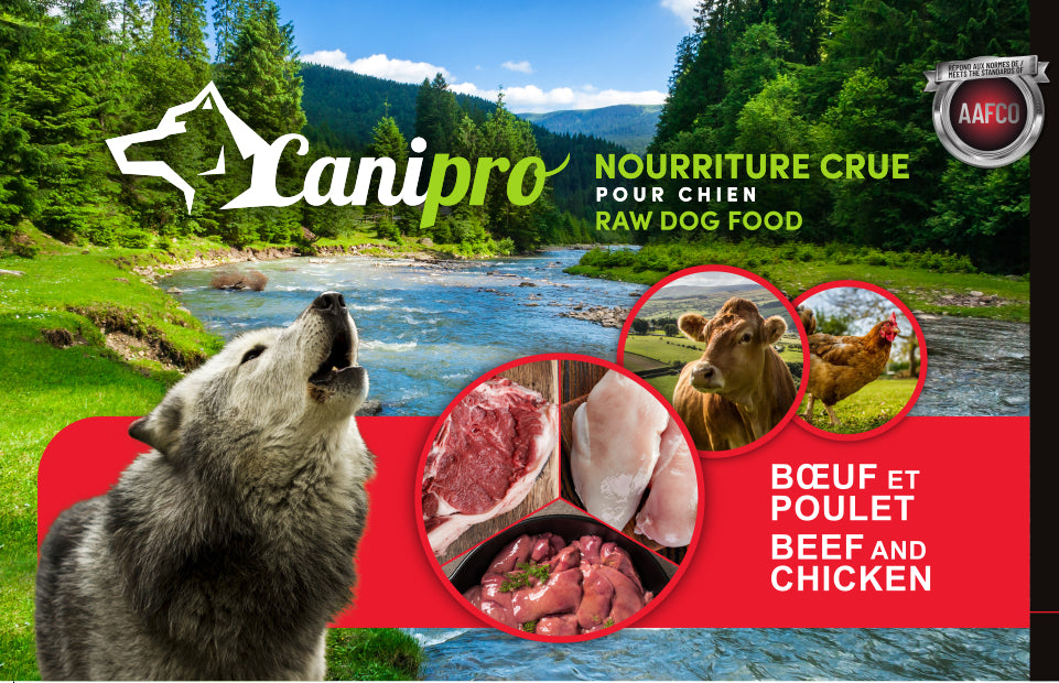 Canipro nourriture crue pour chiens Boeuf et Poulet 5 lb