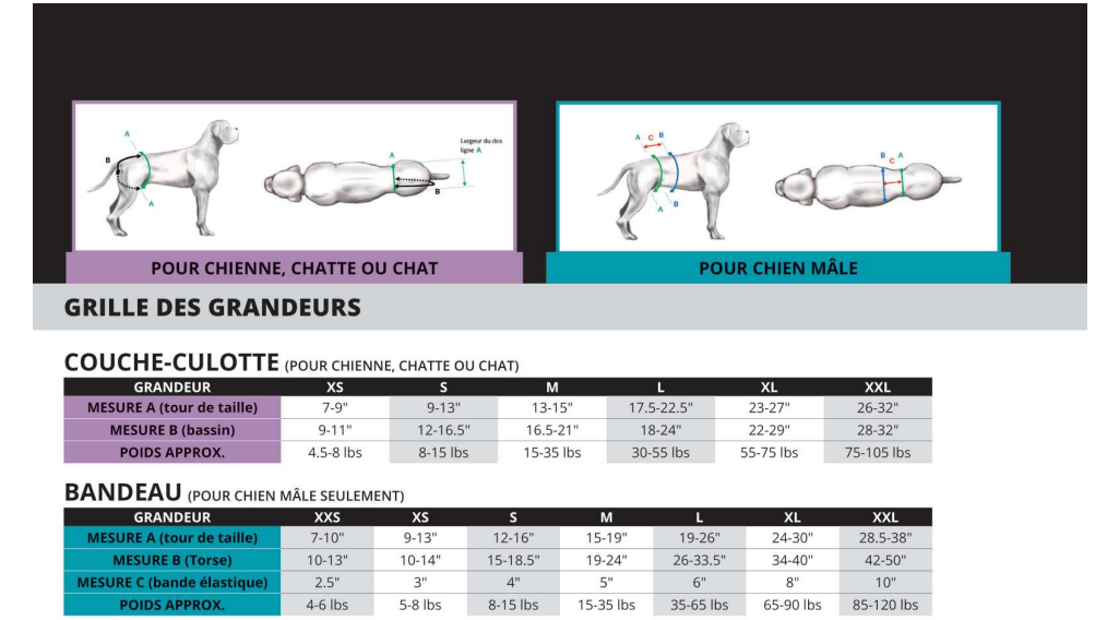 Yamacouche couche-culotte pour femelles