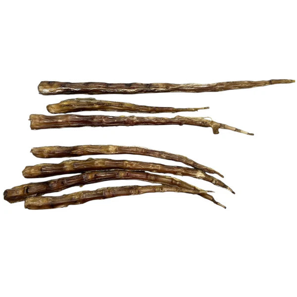 Grand Valley Quail queue de vache déshydratée