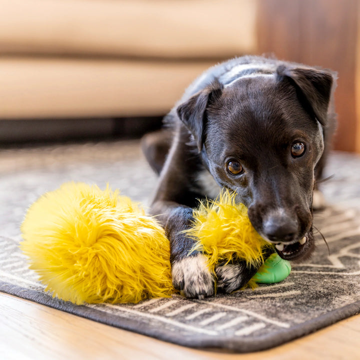 West Paw peluche pour chiens Rowdies