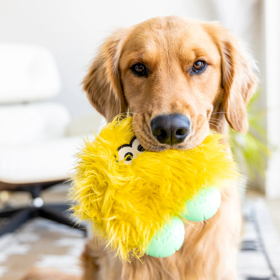 West Paw peluche pour chiens Rowdies