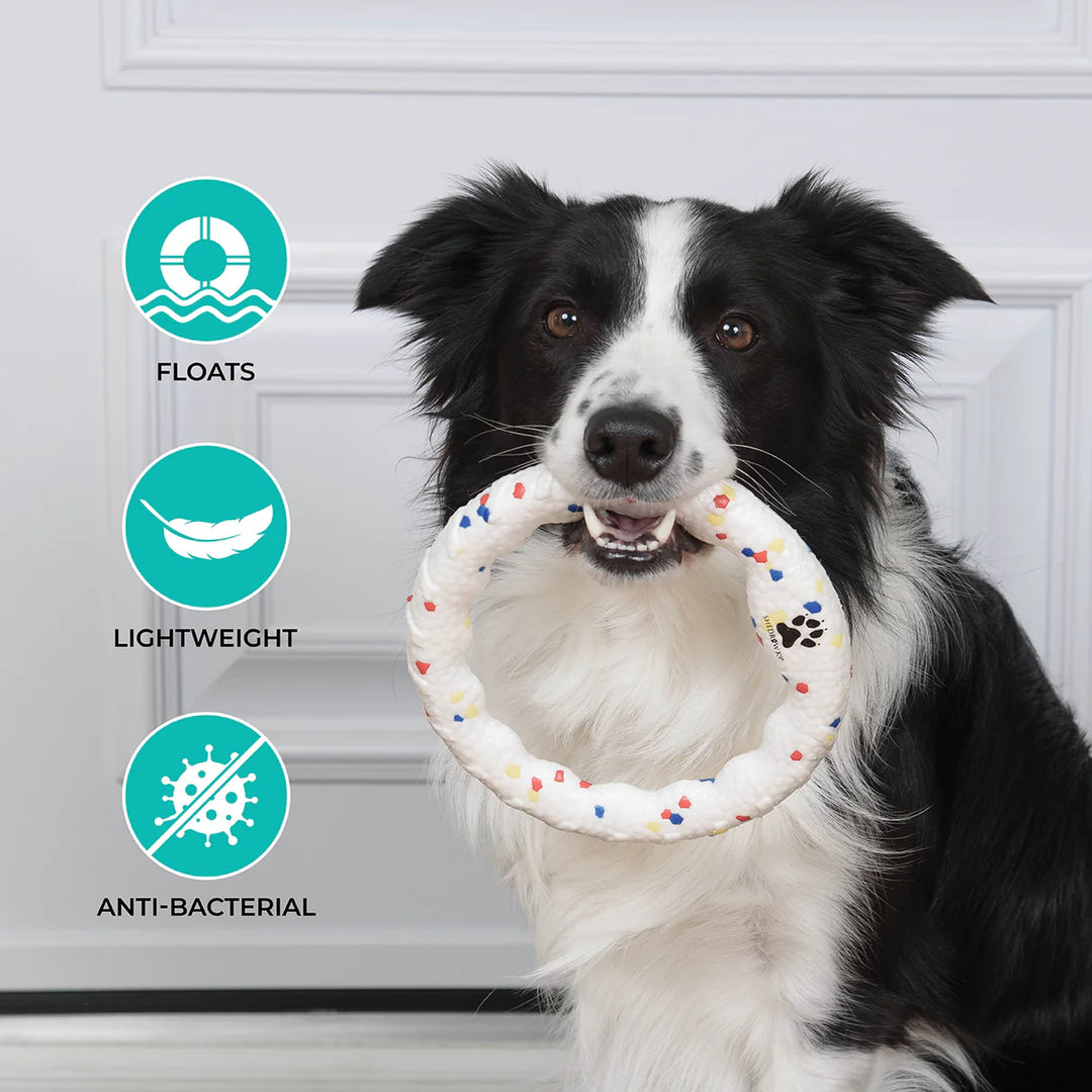 Shedrow K9 jouet pour chiens Anneau Flexiplay