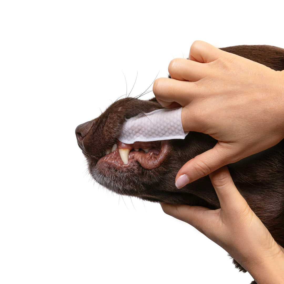 Goo-Eez lingettes nettoyantes pour les dents 50 unités