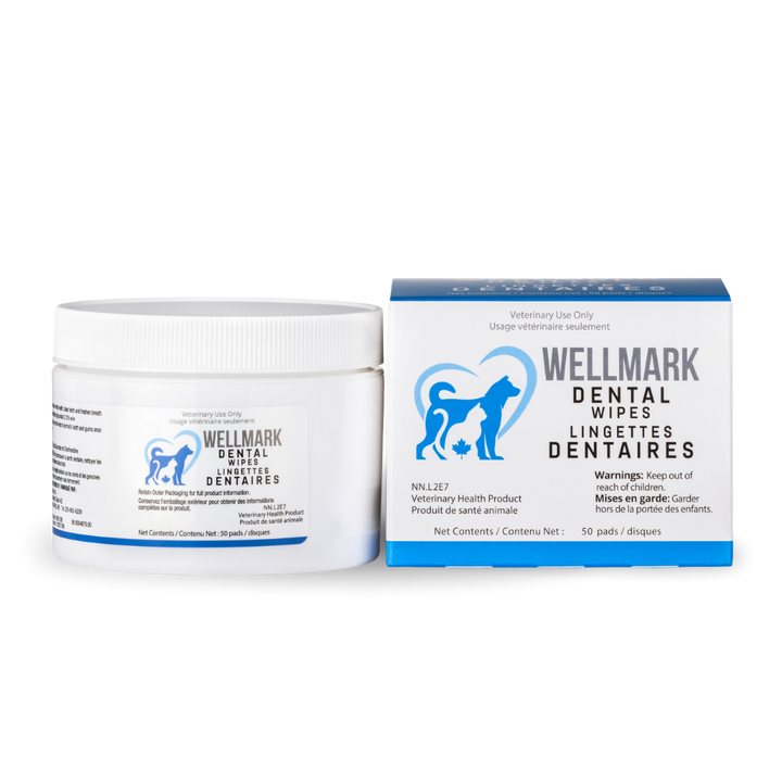 Wellmark lingettes dentaires pour chiens et chats 50 unités
