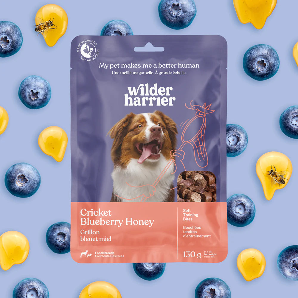 Wilder Harrier gâteries d'entraînement Grillons, bleuet et miel 130g