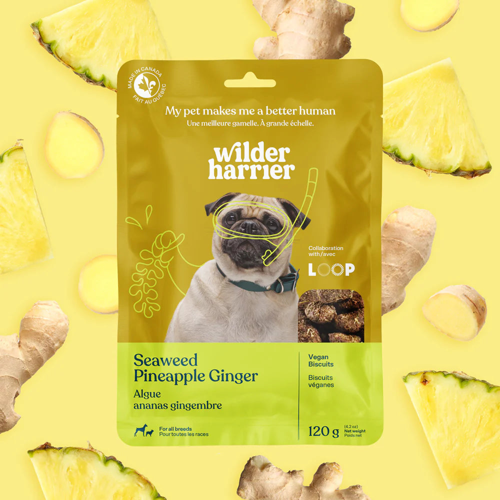 Wilder Harrier gâterie végétarienne pour chiens Algue, ananas et gingembre 120g