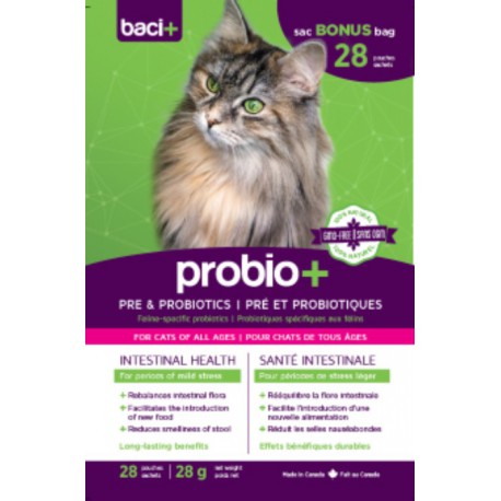 Baci + probiotiques pour chats