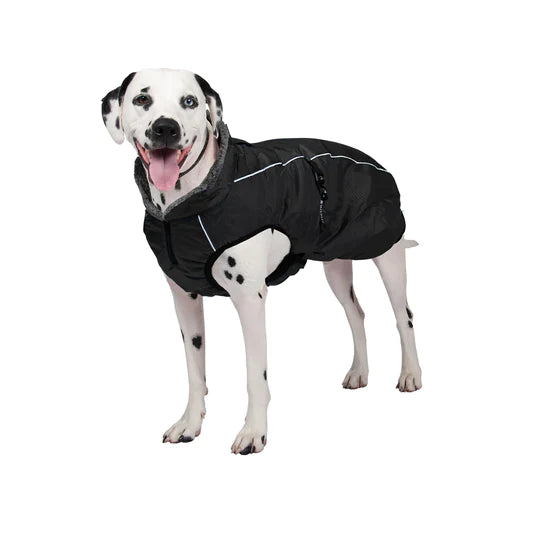 Shedrow manteaux pour chiens Chinook