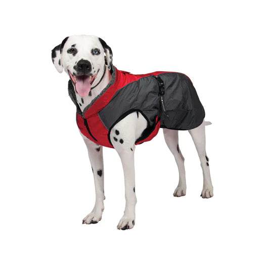 Shedrow manteaux pour chiens Chinook