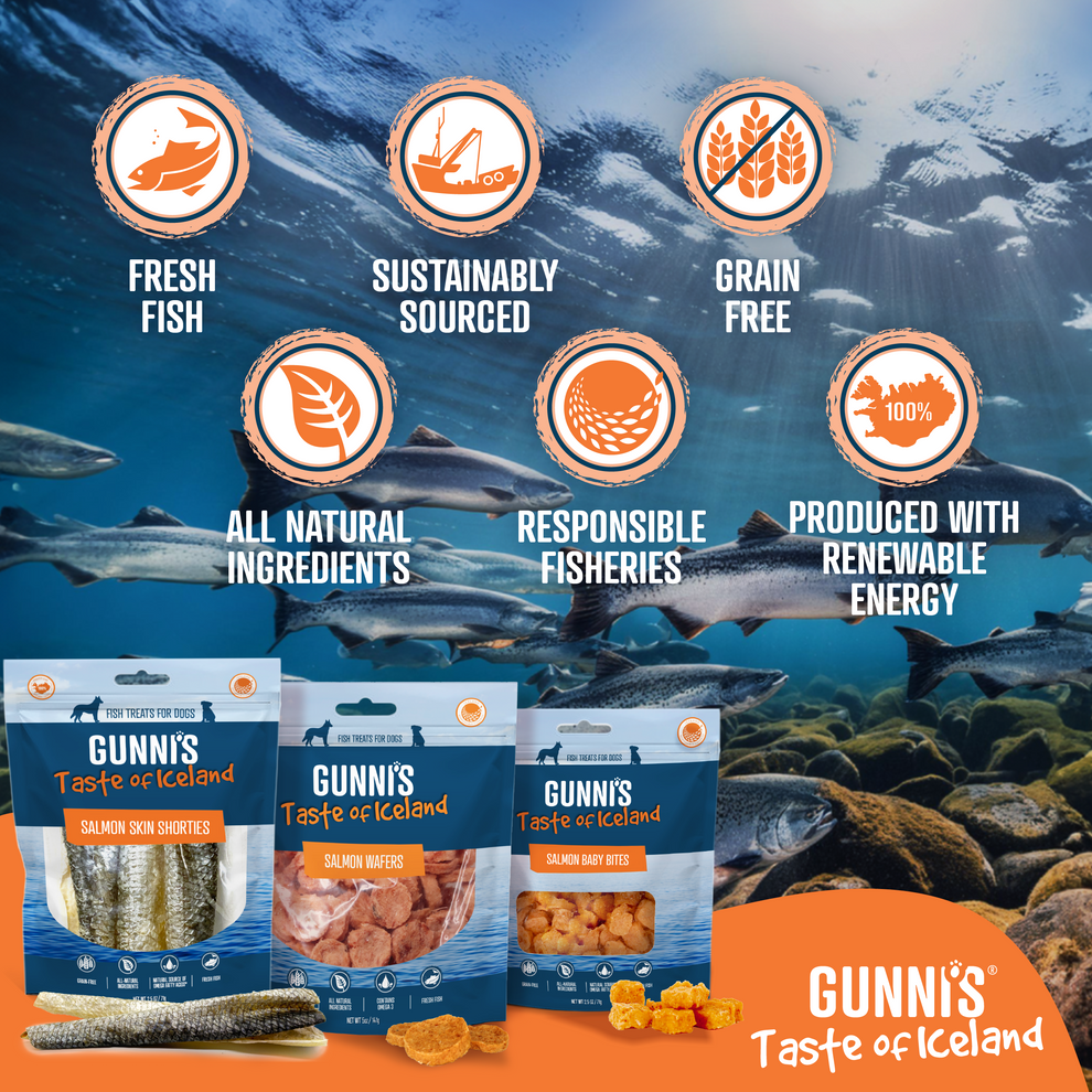 Gunni's Taste of Iceland gâteries de saumon Baby Bites 71g