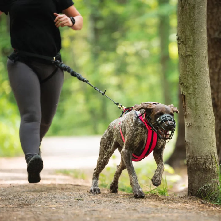 Nahak harnais hybride pour chiens