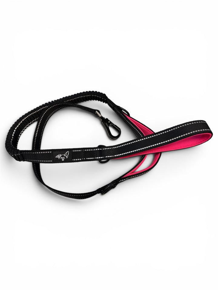 Pwel laisse bungee doubles poignées pour chiens 5'