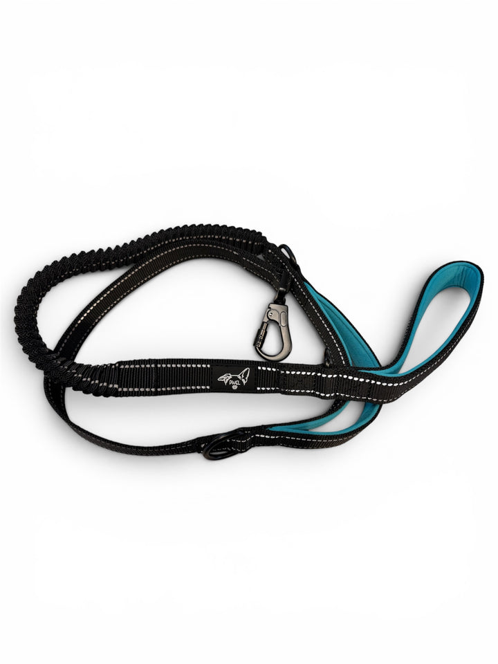 Pwel laisse bungee doubles poignées pour chiens 5'