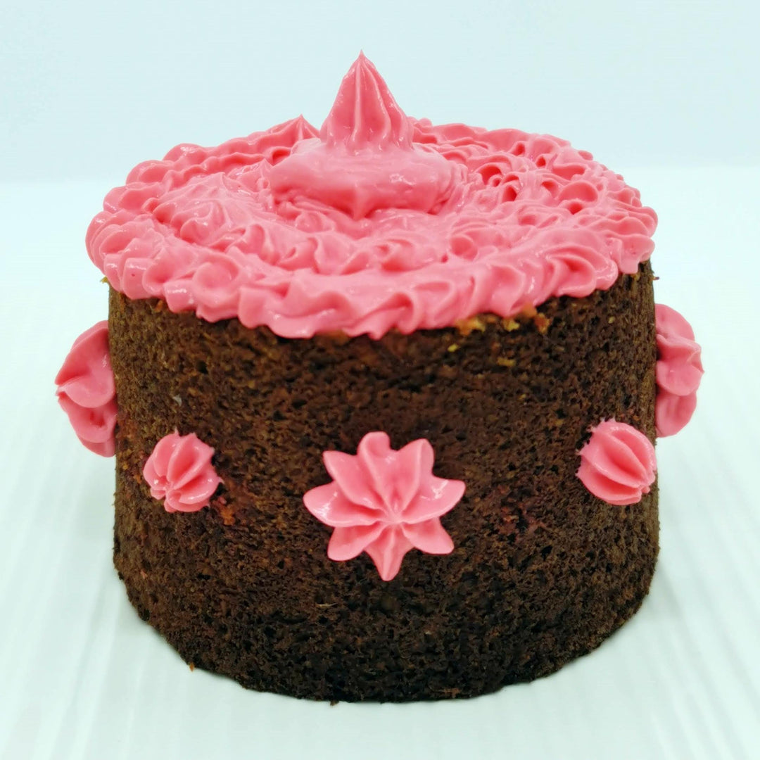 Croc Cake Birthday Cake for Dogs