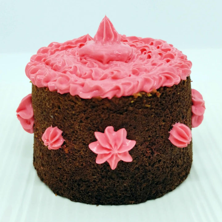Croc Cake Birthday Cake for Dogs