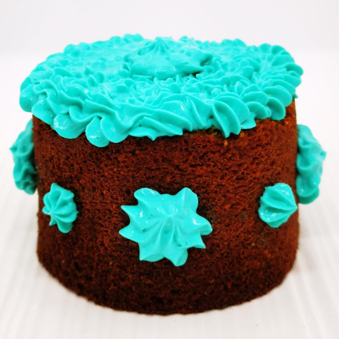 Croc Cake Birthday Cake for Dogs