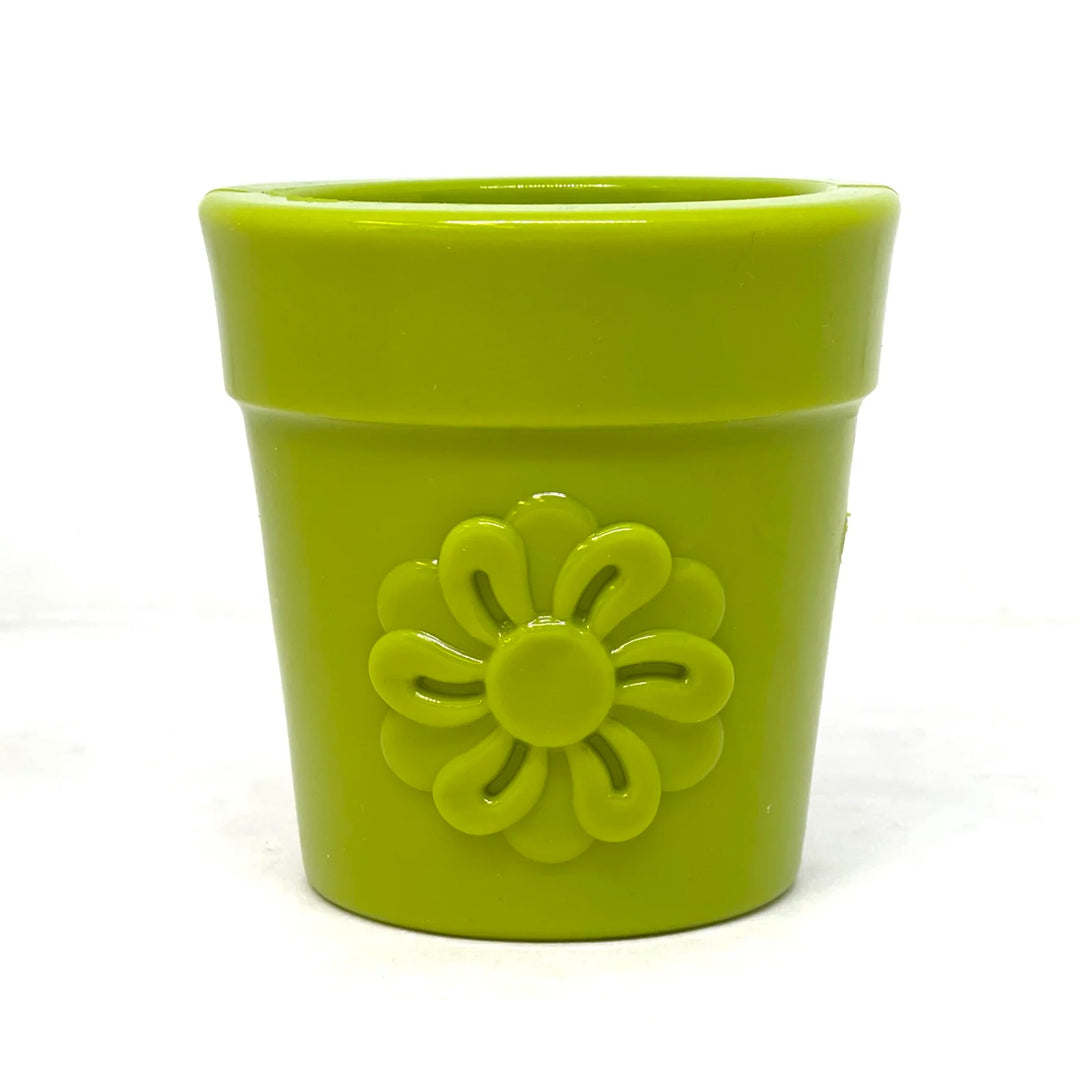 SodaPup jouet à remplir Flower Pot