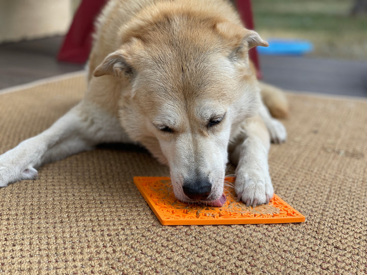 SodaPup tapis à lécher Orange Zombie