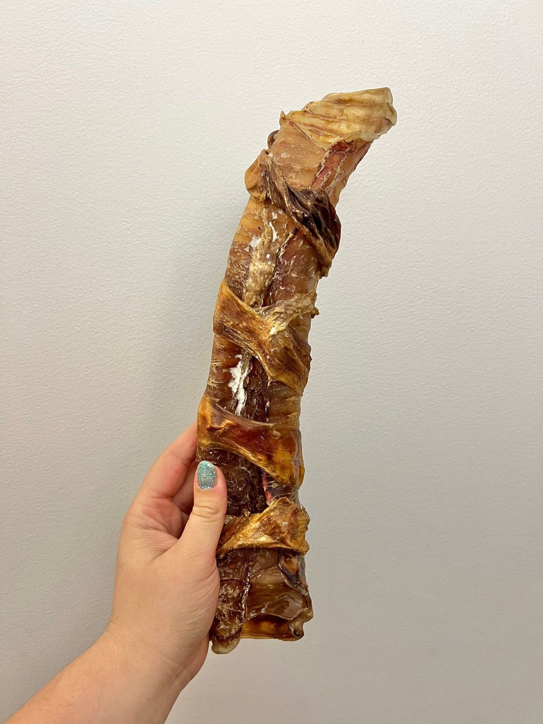 Trachée de boeuf enrobée de vessie 12 - 15"