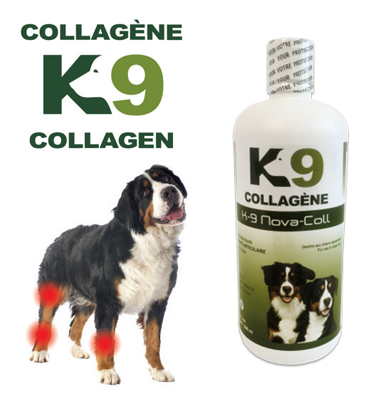 K-9 Nova-Coll collagène liquide pour chien