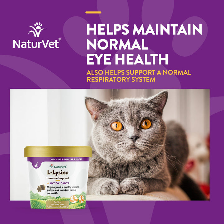 NaturVet supplément alimentaire pour chats L-Lysine 90g