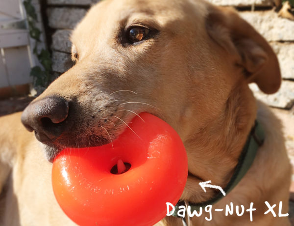 Ruff Dawg jouet Dawg-Nut